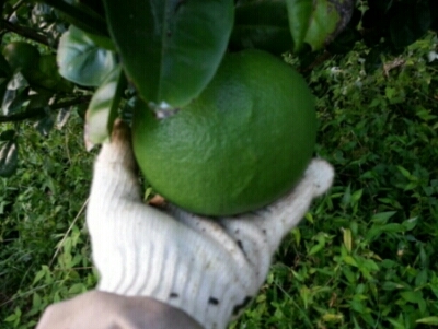 c0330749_23173392.jpg