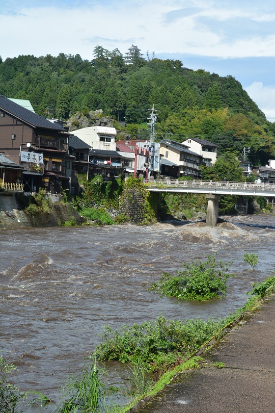 今日の郡上八幡。_a0055650_16253861.jpg