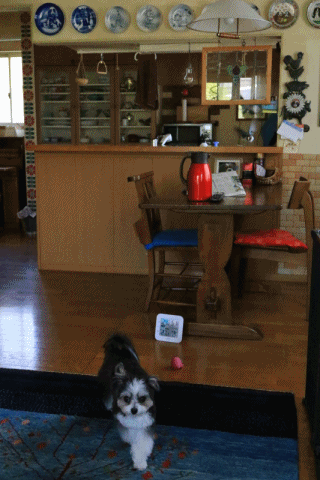 c0145250_09305607.gif