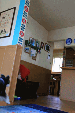 c0145250_09310571.gif