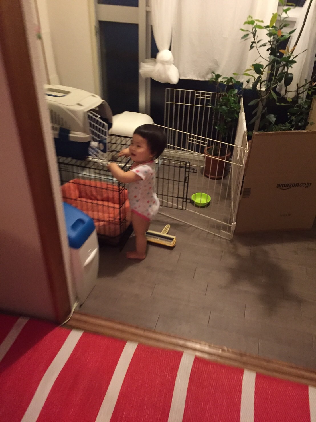 b0346851_10223381.jpeg