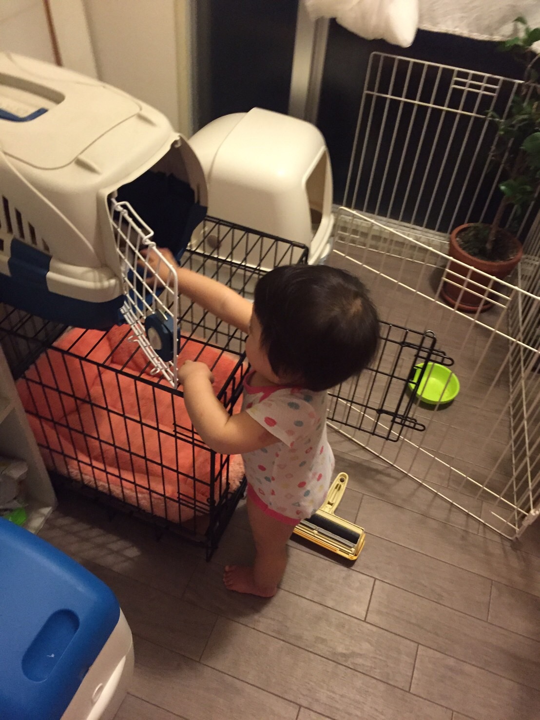 b0346851_10280923.jpeg