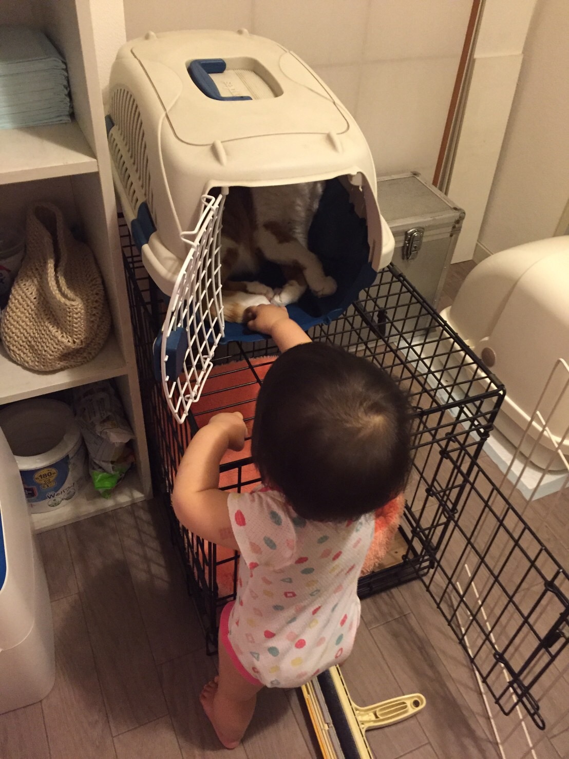 b0346851_10310290.jpeg