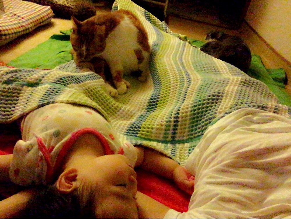 b0346851_10341719.jpeg