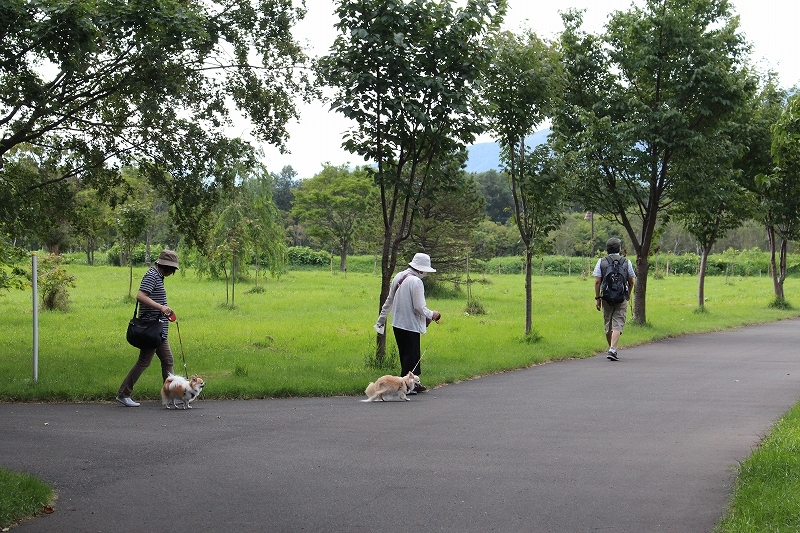 9月4日　前田森林公園　４_b0250154_20141267.jpg