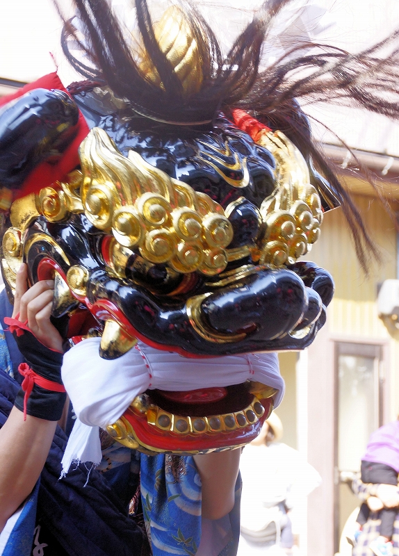 新湊獅子舞祭り(Lion dance, see Wikipedia English site) : 大自然と