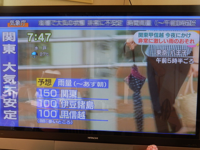 ’16,9,8(木)猫の危機管理能力!_f0060461_8403920.jpg