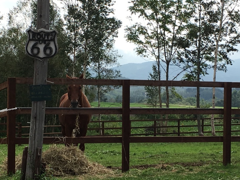 a0353162_06124594.jpeg