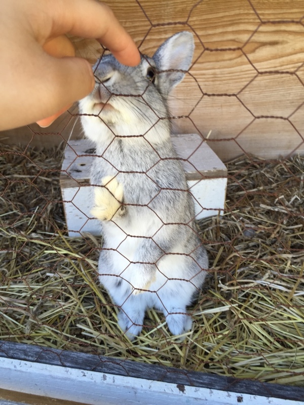 a0353162_06135631.jpeg