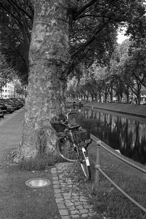 2016年9月9日　人待ち顔な運河沿いの自転車_b0175964_715022.jpg