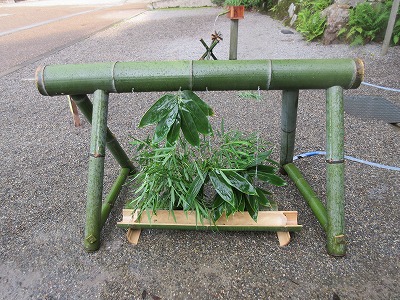 白山比め神社の観水_a0093965_21471833.jpg