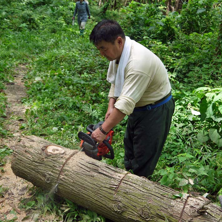 いたぶられた山桜の苗木“絶命” ②9・6六国見山臨時手入れ_c0014967_1255558.jpg