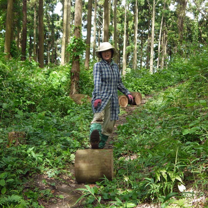 いたぶられた山桜の苗木“絶命” ②9・6六国見山臨時手入れ_c0014967_1265396.jpg