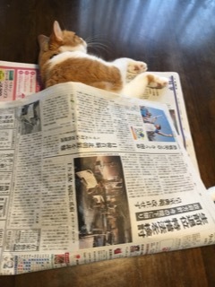 蜂蜜やさん、_f0363168_23061494.jpeg