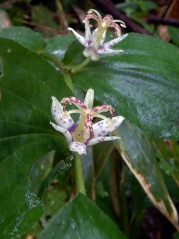 f0083977_23335598.jpg