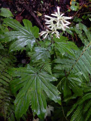 f0083977_2335090.jpg