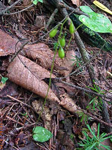 f0083977_23433022.jpg