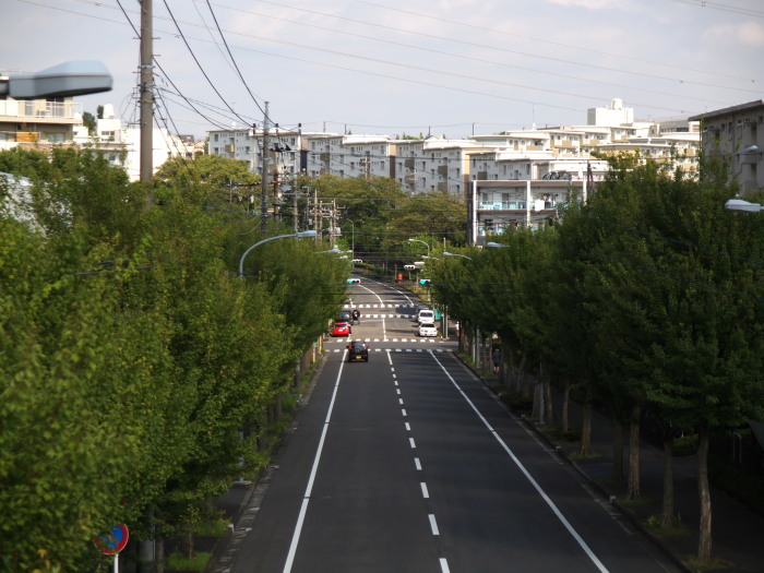 歩道橋から見える景色_a0085679_20584460.jpg