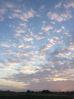 f0149482_08321343.jpg