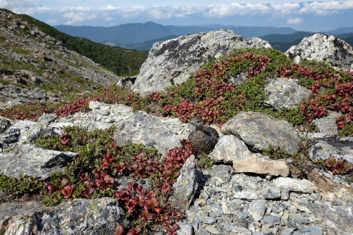 b0339488_20391048.jpg
