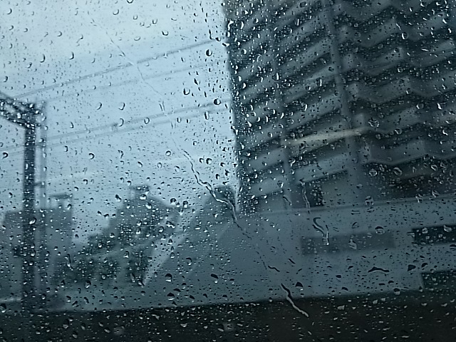 あ、雨です～(  ；∀；)_f0303594_09252038.jpg