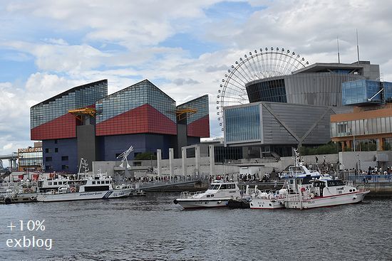 d0064000_19415784.jpg