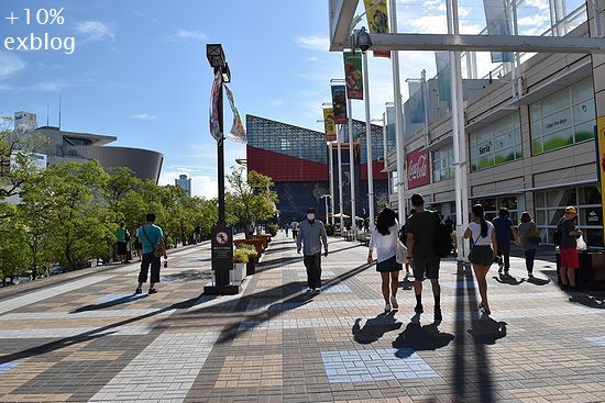 ポケモンな人々～海遊館①_d0064000_19420375.jpg