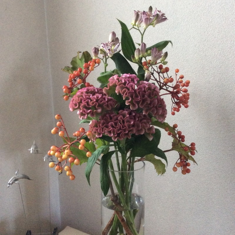 b0220002_19113300.jpeg