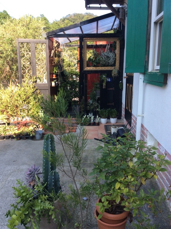 b0220002_20012192.jpeg
