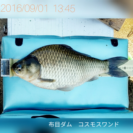 釣りの写真_a0285603_10502502.jpg