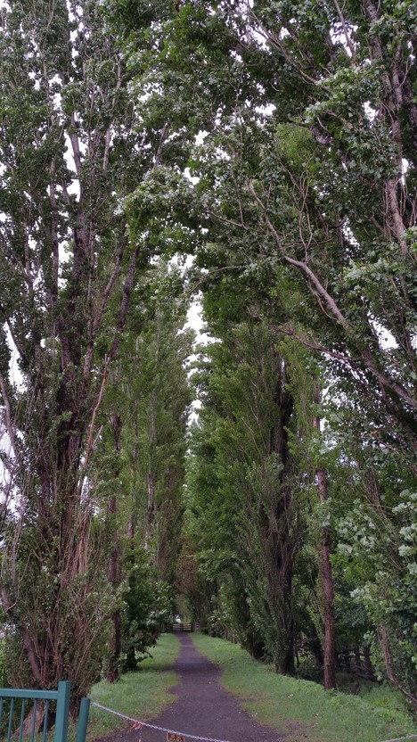 c0210803_9404538.jpg