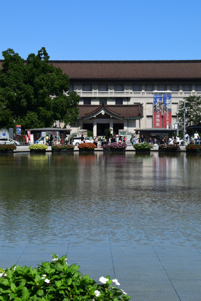 東京国立博物館本館(昭和モダン建築探訪)_f0142606_12551765.jpg