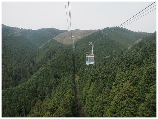 2014/05/06 金剛山　山降り_f0052108_11132986.jpg