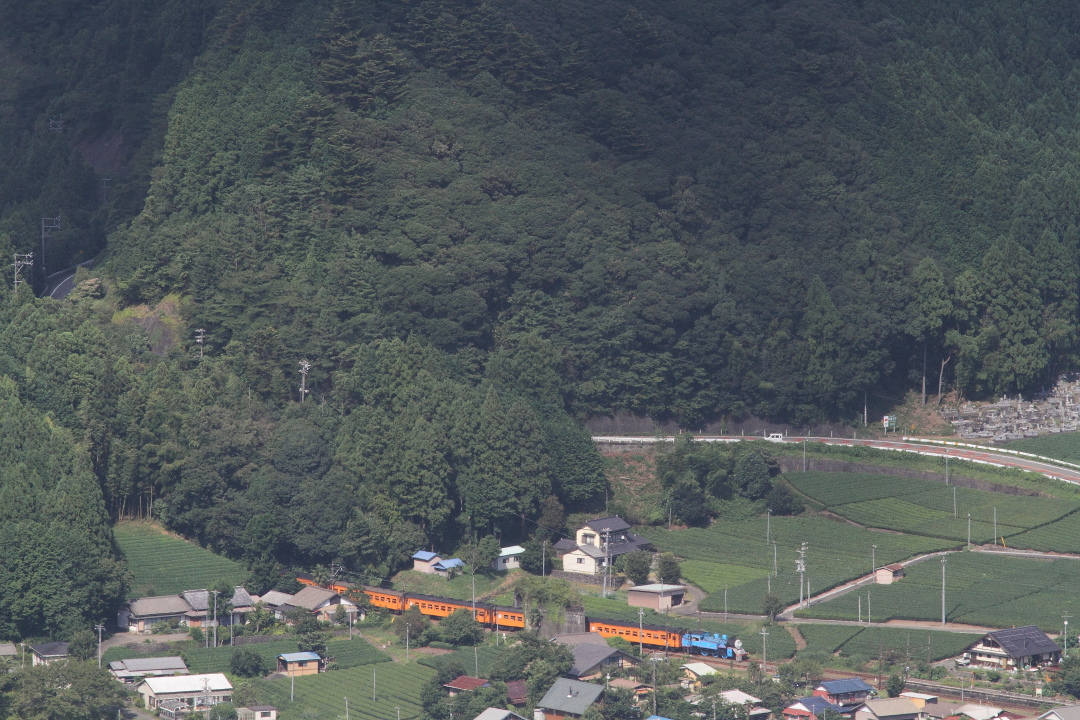 茶畑と日本一短いトンネルとトーマスくん - 2016年夏・トーマスくん - _b0190710_23363078.jpg