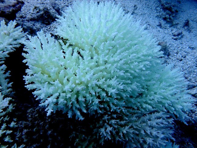 f0043911_01045107.jpg