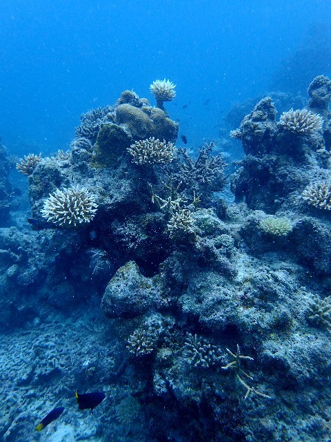 f0043911_01073145.jpg