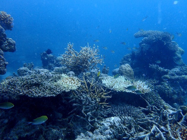 f0043911_01083177.jpg
