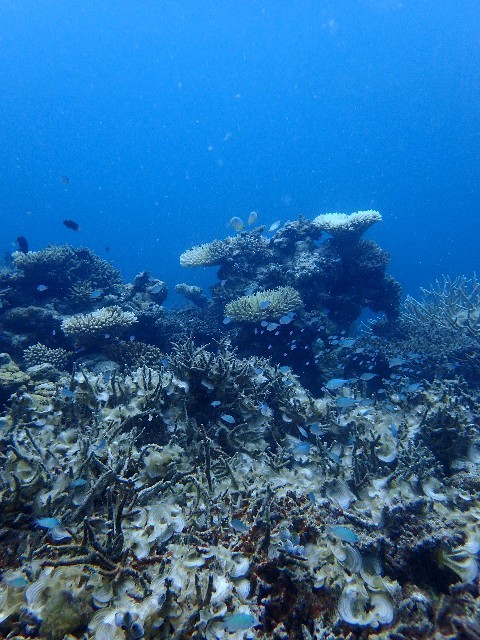 f0043911_01090709.jpg