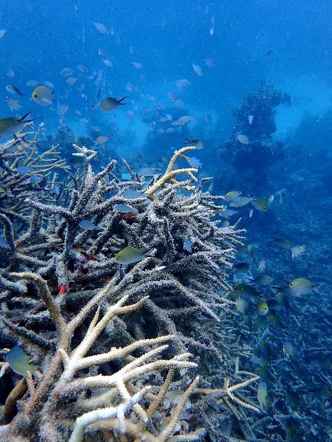 f0043911_01093777.jpg