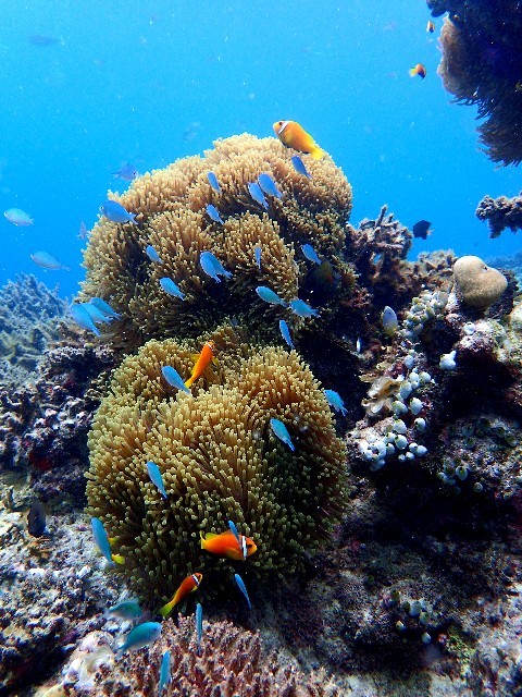 f0043911_01131606.jpg