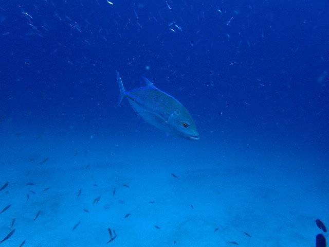 f0043911_01251807.jpg