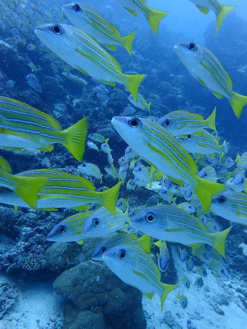 f0043911_01272790.jpg