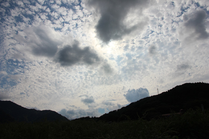 e0034013_19371213.jpg