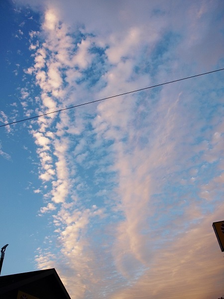 c0247614_23135393.jpg