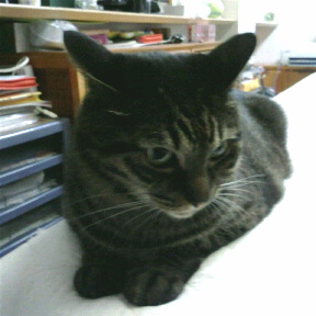 c0145016_23102652.jpg