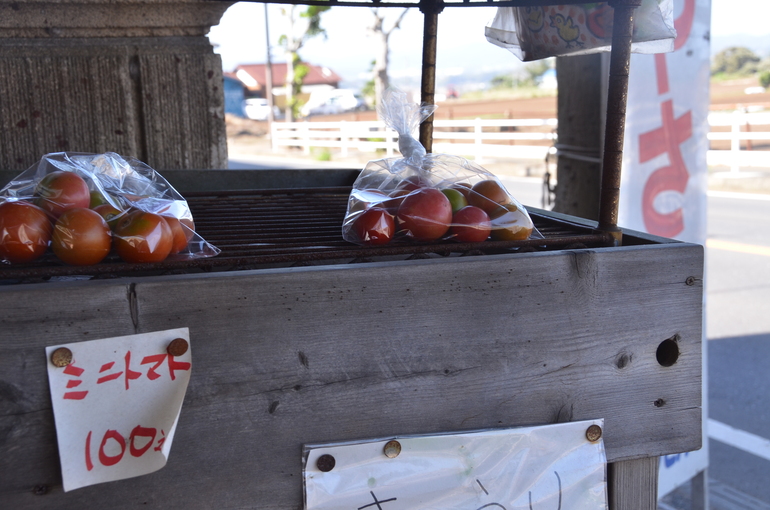 京急三崎口駅あたり_d0065116_22412114.jpg