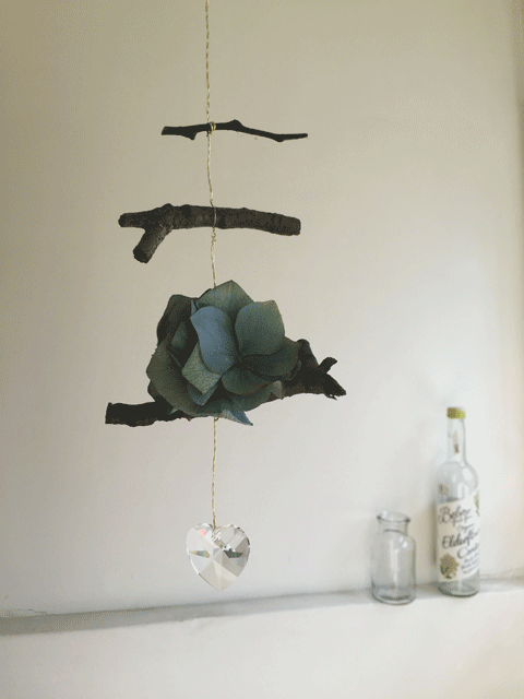 9月10日(土)、武蔵野公園で_d0157716_16171883.gif