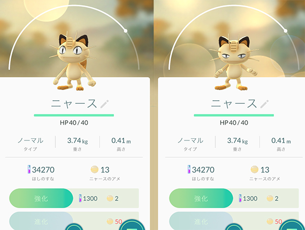 ねこポケモン やきちよ日記 文太 寅次郎もいるよ