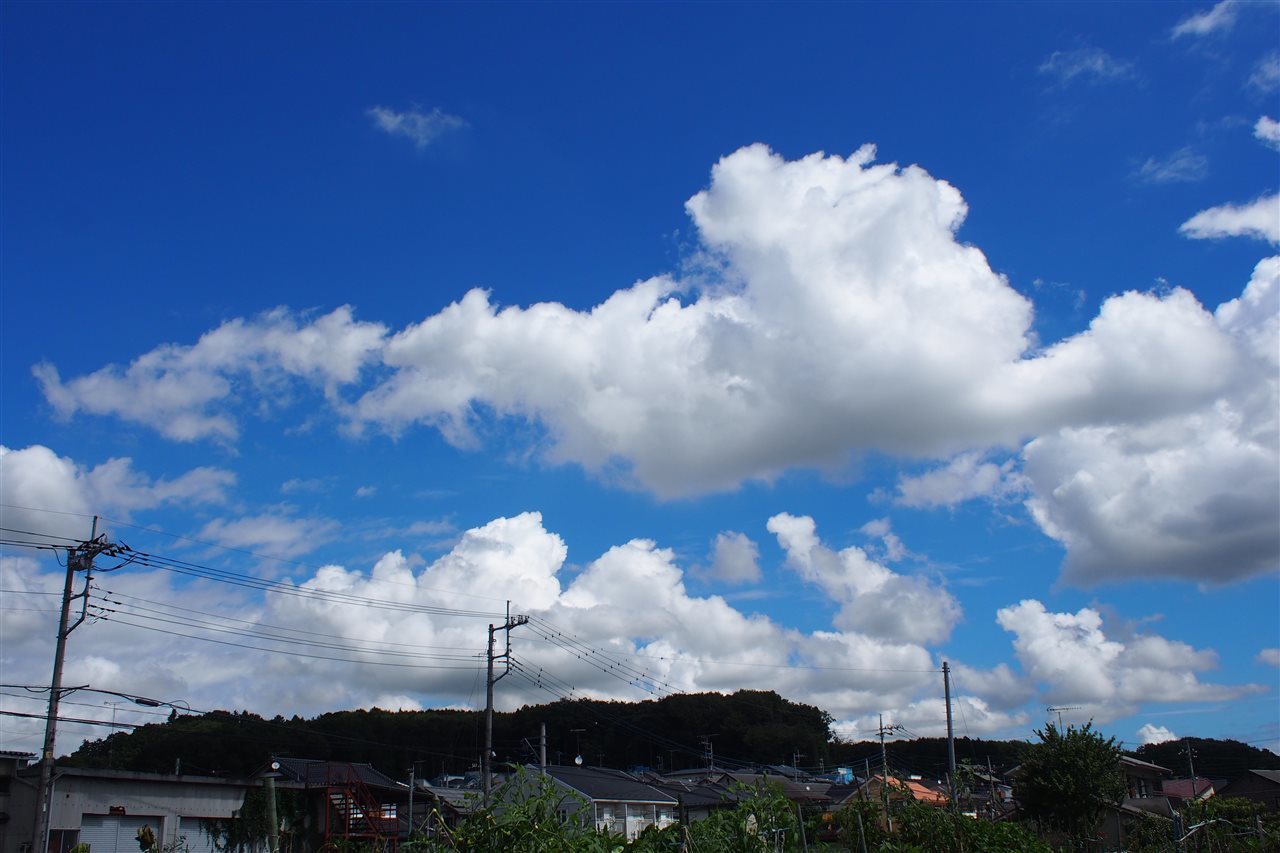 b0352223_13073981.jpg