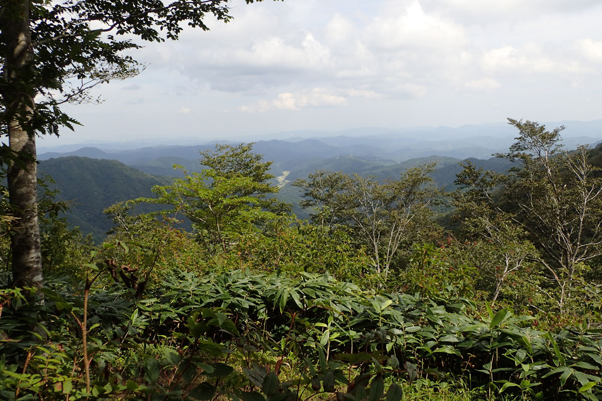 c0064025_2217643.jpg